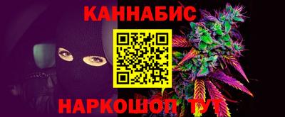 стафф Дубна