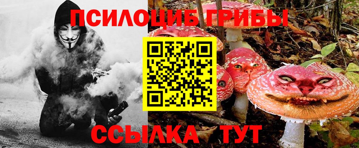 Людиново  Псилоцибиновые грибы мухоморы  купить  сайты  Вход с VPN  Галлюциногенные грибы Psilocybine cubensis 